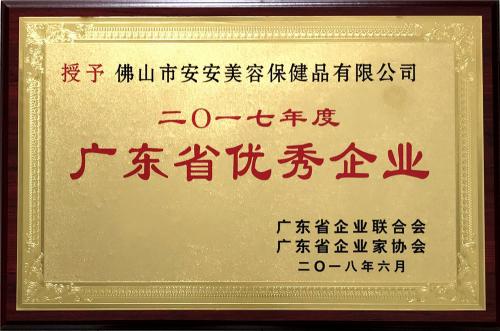 2017广东省优秀企业